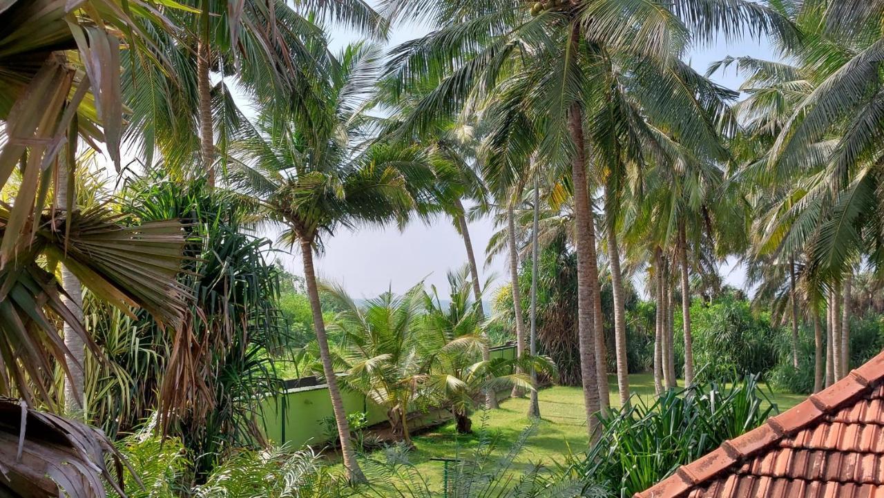 Bandulas Beach House هيكادوفا المظهر الخارجي الصورة